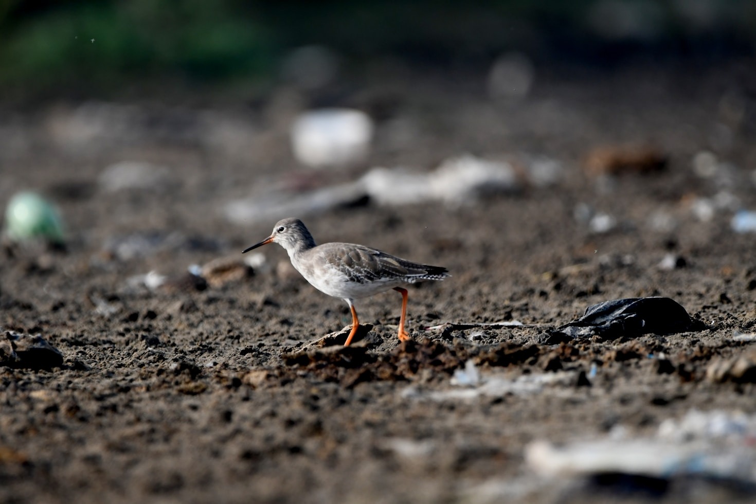 Integrating Innovation in Social Impact Initiatives